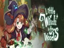 Little Witch in the Woods: Trucs en Codes