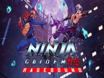 Astuces de <b>Ninja Gaiden: Ragebound</b> pour <b>PC</b> • Apocanow.fr