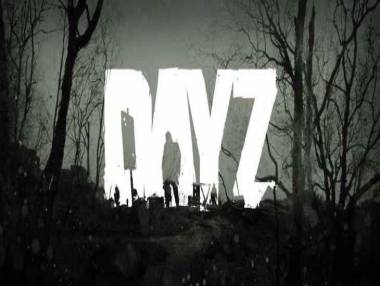 DayZ: Trama del Gioco
