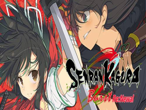 Senran Kagura Burst Re:Newal: Verhaal van het Spel