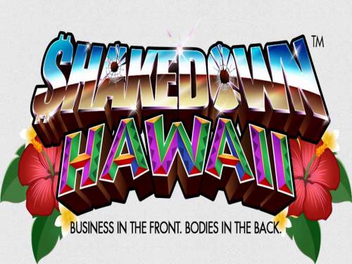 Shakedown: Hawaii: Plot of the game