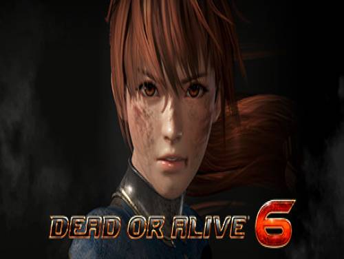 Dead or Alive 6: Videospiele Grundstück