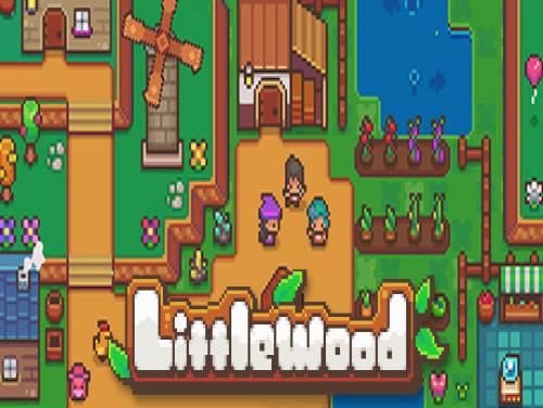 Littlewood: Videospiele Grundstück