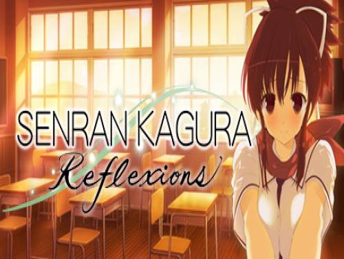 Senran Kagura Reflexions: Videospiele Grundstück