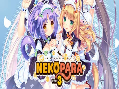 Nekopara Vol. 3: Videospiele Grundstück
