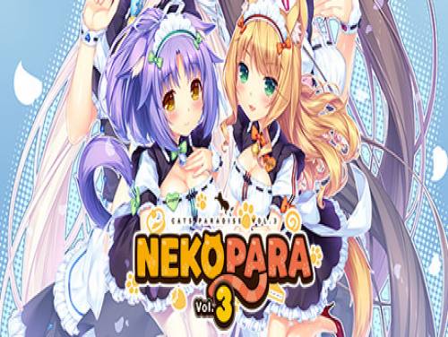 Nekopara Vol. 3: Verhaal van het Spel