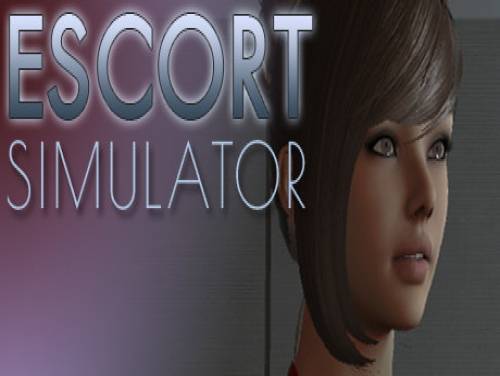 Escort Simulator: Plot of the game