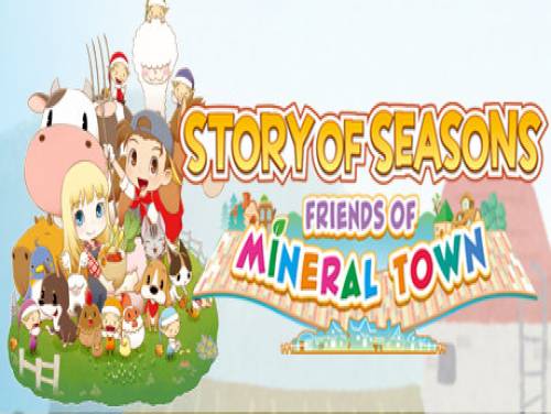 Story of Seasons: Friends of Mineral Town: Videospiele Grundstück