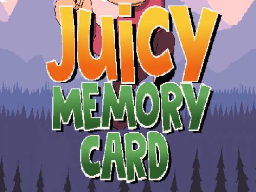 Juicy Memory Card: Plot of the game