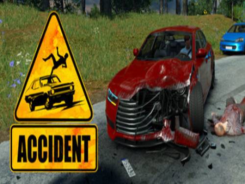 Accident: The Pilot: Plot of the game