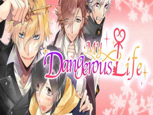 My Dangerous Life: Plot of the game