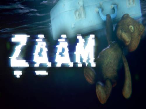 ZAAM: Videospiele Grundstück
