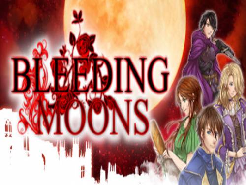 Bleeding Moons: Videospiele Grundstück