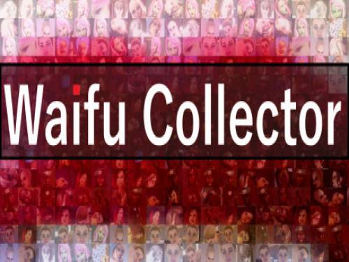 Waifu Collector: Videospiele Grundstück