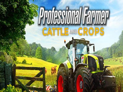 Professional Farmer: Cattle and Crops: Videospiele Grundstück