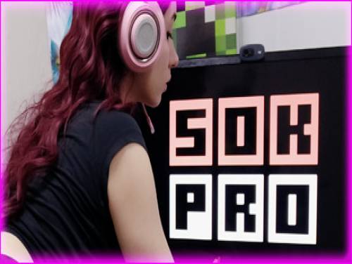 SOK PRO: Videospiele Grundstück