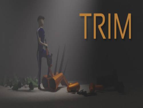TRIM: Plot of the game