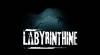 Читы Labyrinthine для PC