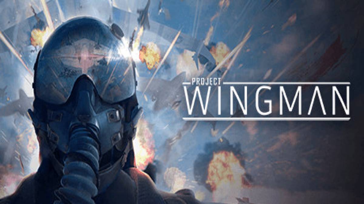 download project wingman pc download project wingman pc