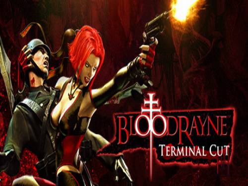 BloodRayne: Terminal Cut: Plot of the game