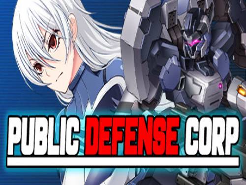 Public Defense Corp: Public Defense Corp: Videospiele Grundstück