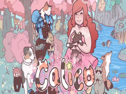 Calico: Videospiele Grundstück