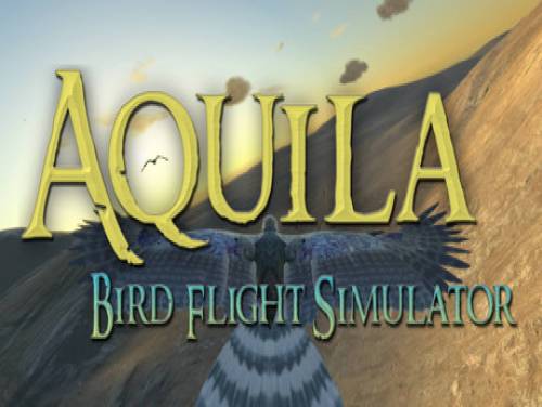 Aquila Bird Flight Simulator: Videospiele Grundstück