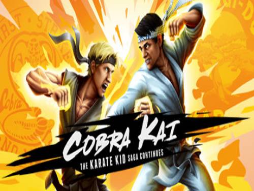 Cobra Kai: The Karate Kid Saga Continues: Plot of the game