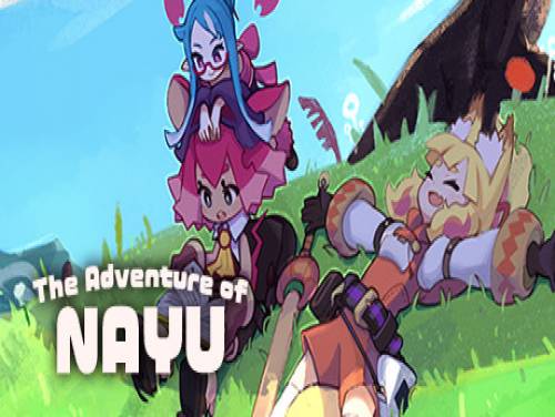 The Adventure of NAYU: Plot of the game
