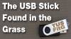 Trucchi di The USB Stick Found in the Grass per PC