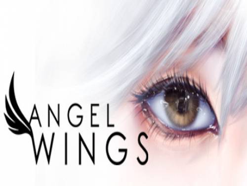 Angel Wings: Videospiele Grundstück