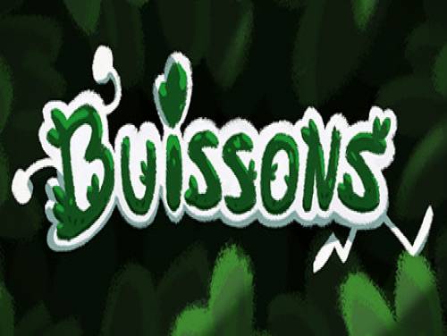 Buissons: Videospiele Grundstück