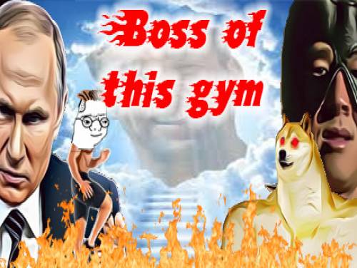 Boss of this gym: Plot of the game