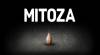 Trucchi di Mitoza per PC Trucchi di Mitoza per PC