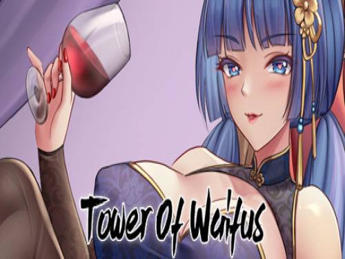 Tower of Waifus: Videospiele Grundstück