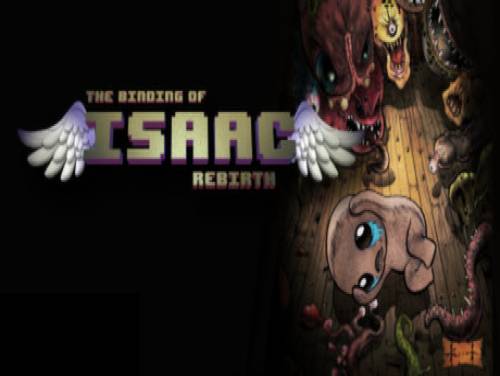 Binding Of Isaac, The: Rebirth: Verhaal van het Spel