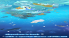 Astuces de Tap Tap Fish - Abyssrium Pole pour ANDROID / IPHONE
