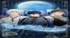 Tipps und Tricks von Moonlight Wishes:Romance you choose für ANDROID / IPHONE Nützliche Tipps
