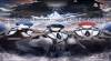 Astuces de The Swords of First Light:Romance you choose pour ANDROID / IPHONE