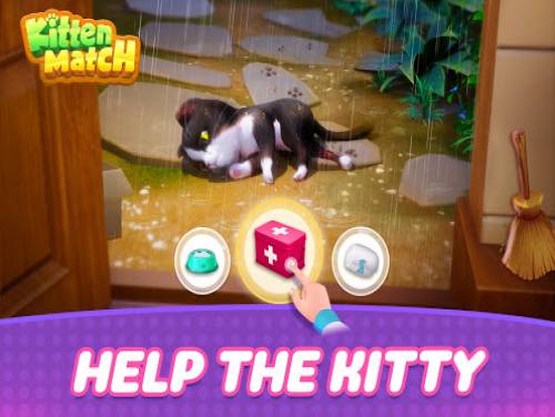 Kitten Match: Kitten Match: Videospiele Grundstück