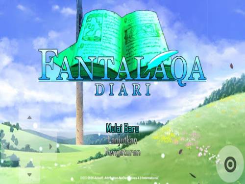 Fantalaqa: Diari: Videospiele Grundstück