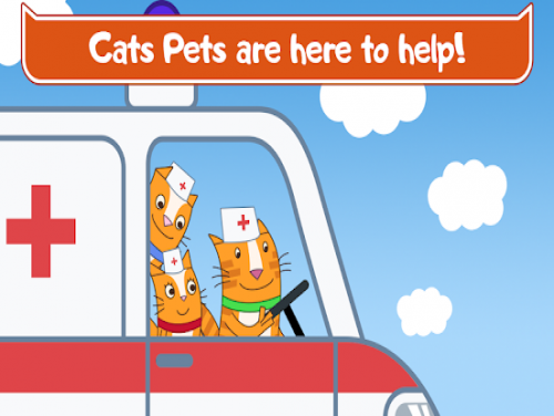Cats Pets Animal Doctor Games for Kids! Pet doctor: Enredo do jogo
