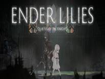 Ender Lilies: Quietus of the Knights: Коды и коды