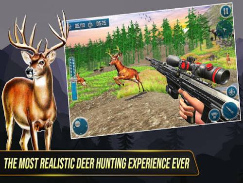 Wild Deer Hunting Adventure :Animal Shooting Games: Enredo do jogo