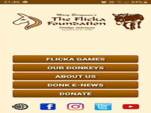 Flicka Donkeys: Videospiele Grundstück