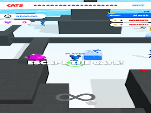 Cat and Mouse .io: Videospiele Grundstück