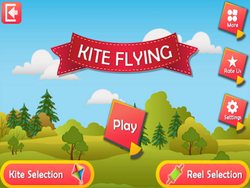 Kite Flying Festival Challenge: Kite Flying Festival Challenge: Videospiele Grundstück