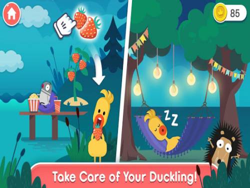 Duck Story World - Animal Friends Adventures: Videospiele Grundstück