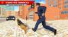 Tipps und Tricks von Polizia Cane Gioco, criminali indagare Dovere 2020 für ANDROID / IPHONE Nützliche Tipps