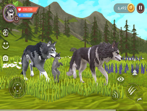 WildCraft: Animal Sim Online 3D: WildCraft: Animal Sim Online 3D: Videospiele Grundstück
